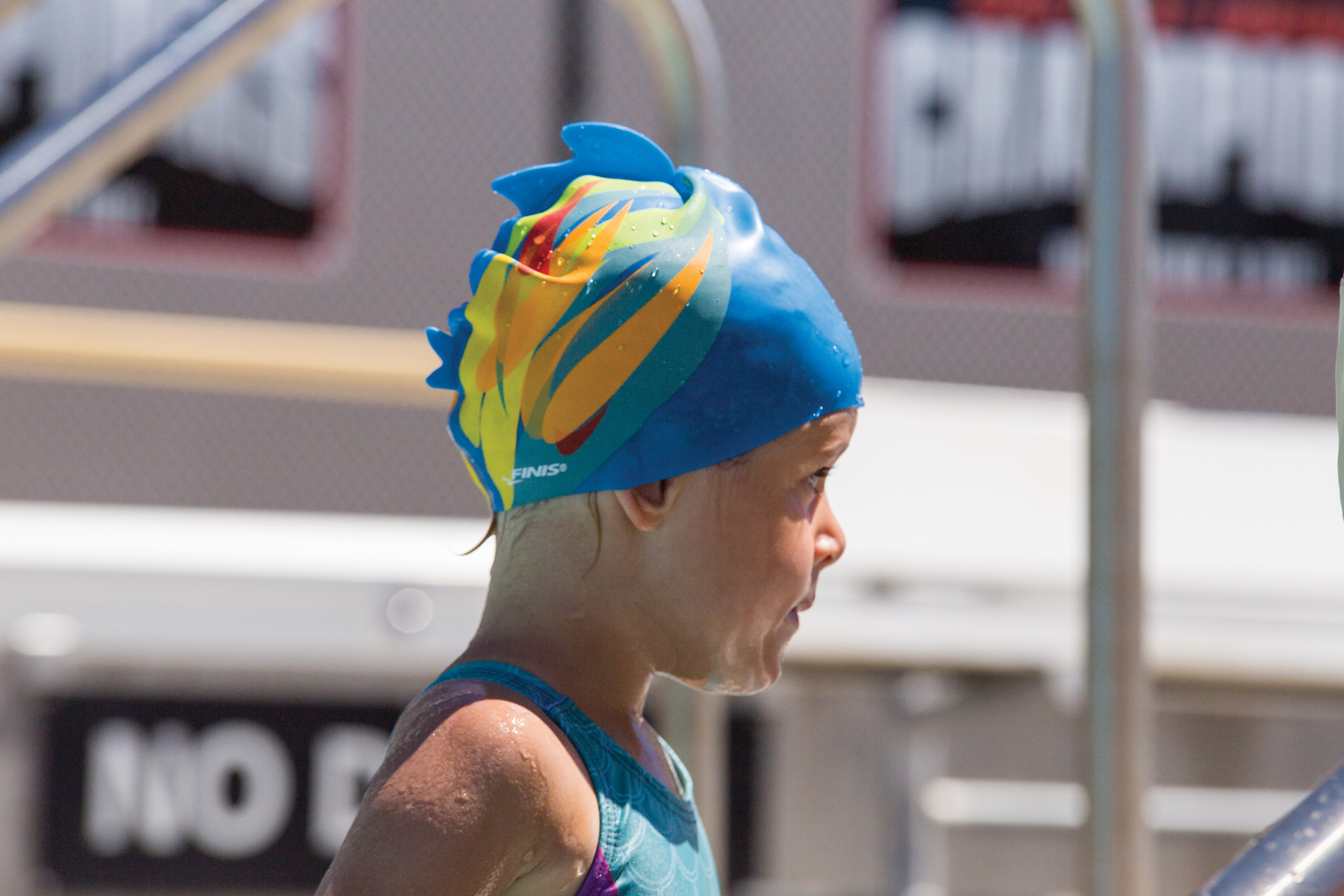 3.25.036-Image-Usage-Parrot-9